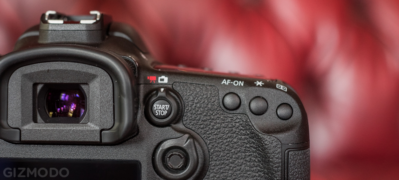 Illustration for article titled Canon 7D Mark II: The Best DSLR For Sports and Wildlife, But That's All